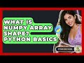 What Is NumPy Array Shape? Python Basics - Python Code School