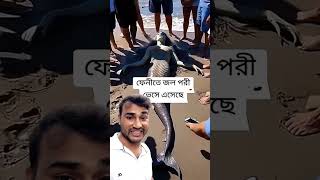 ফেনীতে জল পরী ভেসে এসেছে #floods #বন্যা #জলপরী #news #floodnewstoday #urcristiano