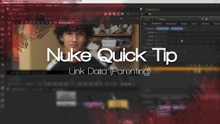 Nuke Quick Tip | Link Data (Parenting)