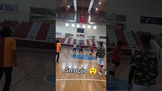 Smaçör 🕷️