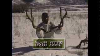 40" Mule Deer Sheds 3 Years - MossBack