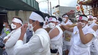 小田原　居神神社500年祭　神輿渡御