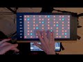 linnstrument scale ergonomics