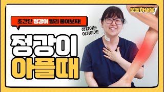 #정강이 #정강이운동 정강이가 아프신가요? [운동하새움]