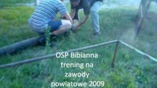 osp Bibianna linia ssawna