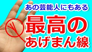 【手相】あの大人気女優にもある幸運の女神線！その内容とは！？【手相鑑定 #106】