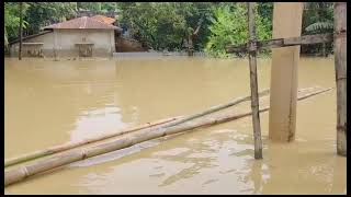 সাতকানিয়া উপজেলার বাজালিয়া ইউনিয়নের বড়দুয়ারা গ্রাম পানির নিচে