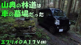 山奥の林道に入って行ったら、そこは車の墓場だった