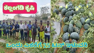 watermelon farming in kannada | ಒಂದು ಎಕರೆಗೆ 25 ಟನ್ ಇಳುವರಿ ತಳಿ#watermelonfarming