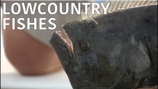 Coastal Kingdom | Season 1, Episode 11 – ‘Lowcountry Fishes’ | Full Episode