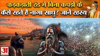 MahaKumbh 2025: इस वजह से बिना कपड़ों के Naga Sadhu को नहीं लगती है ठंड? Prayagraj । UP News