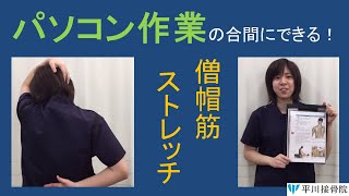 【京都 平川接骨院】パソコン作業中にできる！僧帽筋ストレッチ #肩こり #平川接骨院