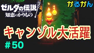 [キャンゾル大活躍] 攻撃や松明にキャンゾルが活躍する ゼルダの伝説 知恵のかりもの #50