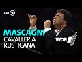 Mascagni - Cavalleria rusticana - Intermezzo Sinfonico | Semyon Bychkov | WDR Symphony Orchestra