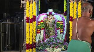 Arulmigu Sankaranarayana Swamy Thirukoil Sankarankovil Navarathiri Utsavam Day 2