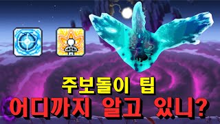 주보돌이 시간 단축하기 [메이플/리부트]