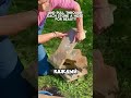 ⛲️ДЕКОРАТИВНЫЙ ВОДОПАД⛲️ shotrs diy tiktok дизайндома стройка garden сад дизайн участок