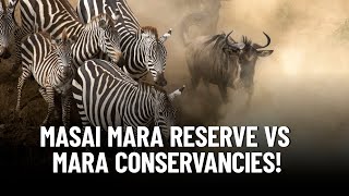 Untold Differences between Masai Mara National Reserve & Conservancies