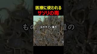 医療に使われるサソリの毒