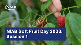 NIAB Soft Fruit Day 2023: Session 1 - New Developments and Resource Use