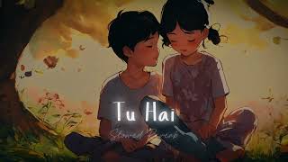 Tu Hai (Slowed + Reverb) | Darshan Raval, Prakriti Giri | LofiVibesNook