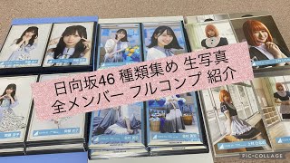 日向坂46 種類集め 全メンバー フルコンプ 生写真 紹介