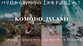 【コモド】自然豊かなコモド諸島に！念願のコモドドラゴンやピンクビーチに！