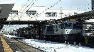 (破れ)臨8865レ　EF64-1027牽引　チキ5500、コキ空車回送貨物列車　守山駅通過