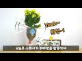 버려진 페트병을 재활용해보자 💐자동급수 화분 u0026 선물상자 만들기┃ feat.환경의 달