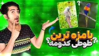 ولاگ بزرگترین بازار پرندگان در ایران😍 بامزه ترین و بازیگوش ترین طوطی کدومه؟ FUNNY BIRDS