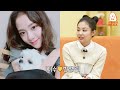 blackpink jennie came to show off her dog kuma kang hyung wook s dog guest show ep.13