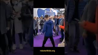 People kicking a robot dog