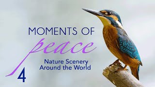 Moments of Peace 4 | Nature Scenery Around the World