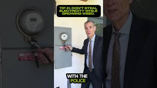 DON’T steal electricity while growing weed #theft #thief #plants #garden #indoors #electric