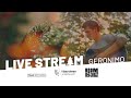 LIVE STREAM Studio Trad Session - Geronimo