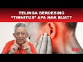 TELINGA BERDESING! Tinnitus sampai nak gila! Apa nak buat?!