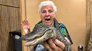 Granny Terrified by What's In The Box Challenge! | Ross Smith ft. JayPrehistoricPets