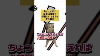 【ゴミ屋敷】寂しくてペット増やした結果【義実家】 #ゴミ屋敷 #shorts  #猫ミーム