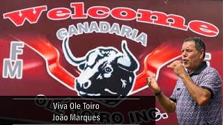 Joao Marques: Viva Ole Toiro (Quinta Ole Toiro)