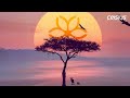 Cooper Stites - Bawo