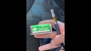 Moxie - Strawberry Fields X Sunset Sherbert - Pines Trees Cannabis Reviews