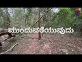 ride in dandeli forest moto vlog dandeli moto vlogs kannada