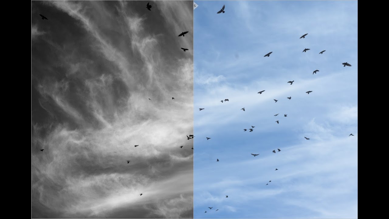 Darktable Edit 013 Youtube