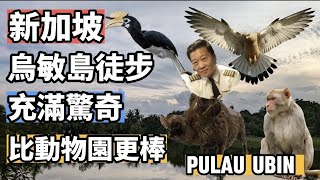 徒步環島新加坡的烏敏島PULAU UBIN YouTube應該有很多的影片，這影片要用不同的方式來呈現-希望大家有新的看法#機長