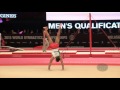 METIDJI Hellal (ALG) - 2015 Artistic Worlds - Qualifications Floor Exercise