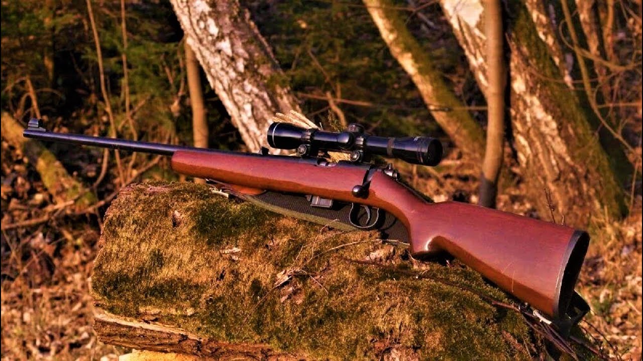 TOP 10 MOST ACCURATE HUNTING RIFLES 2023 - YouTube