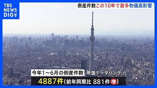 今年上半期の倒産件数この10年で最多に 「物価高倒産」や「人手不足倒産」が急増　帝国データバンク｜TBS NEWS DIG