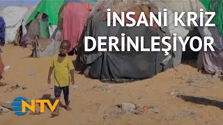 @NTV Kuraklık Somali'de açlığa yol açıyor