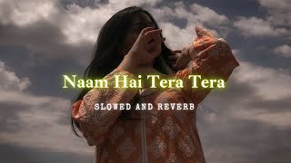 Naam hai tera tera- Deepshikha Raina(slowed + reverb)