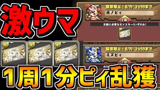 1周1分でピィ乱獲！神器龍ラッシュ周回編成2パターン！素材難民必見です！【パズドラ】